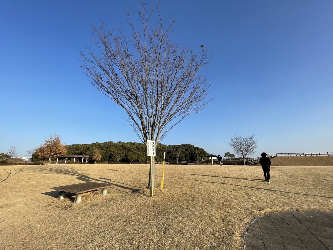 🌳 마쓰바라 전망대 광장(마쓰바라텐보오다이히로바) 이미지 1